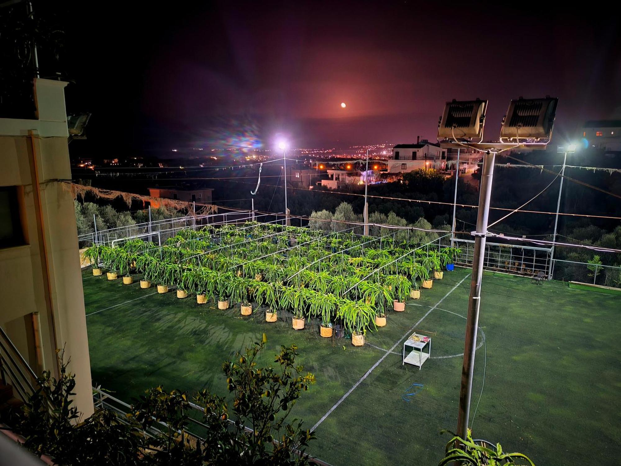 Villa Koulouridi ذاراتسو المظهر الخارجي الصورة